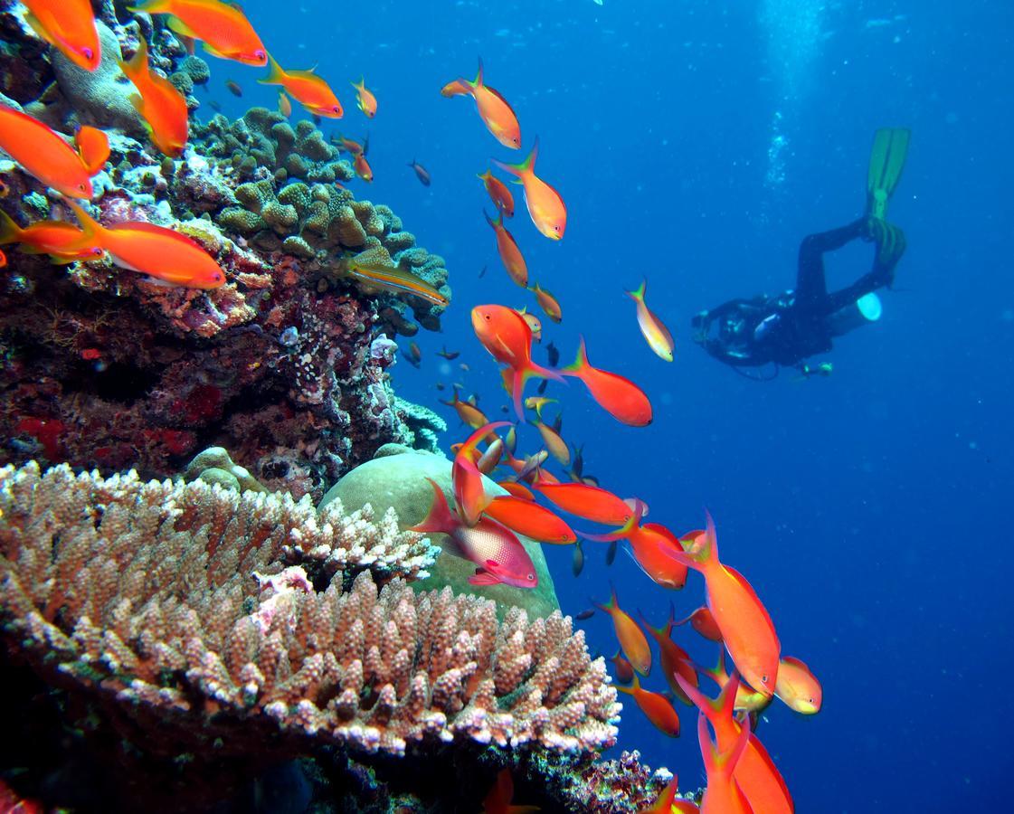 Kandima Maldives - 50 Percent Off On Return Domestic Flight Transfers On 4 Nights Or Between 01 Apr & 10 Oct 2025 Rezort 5*