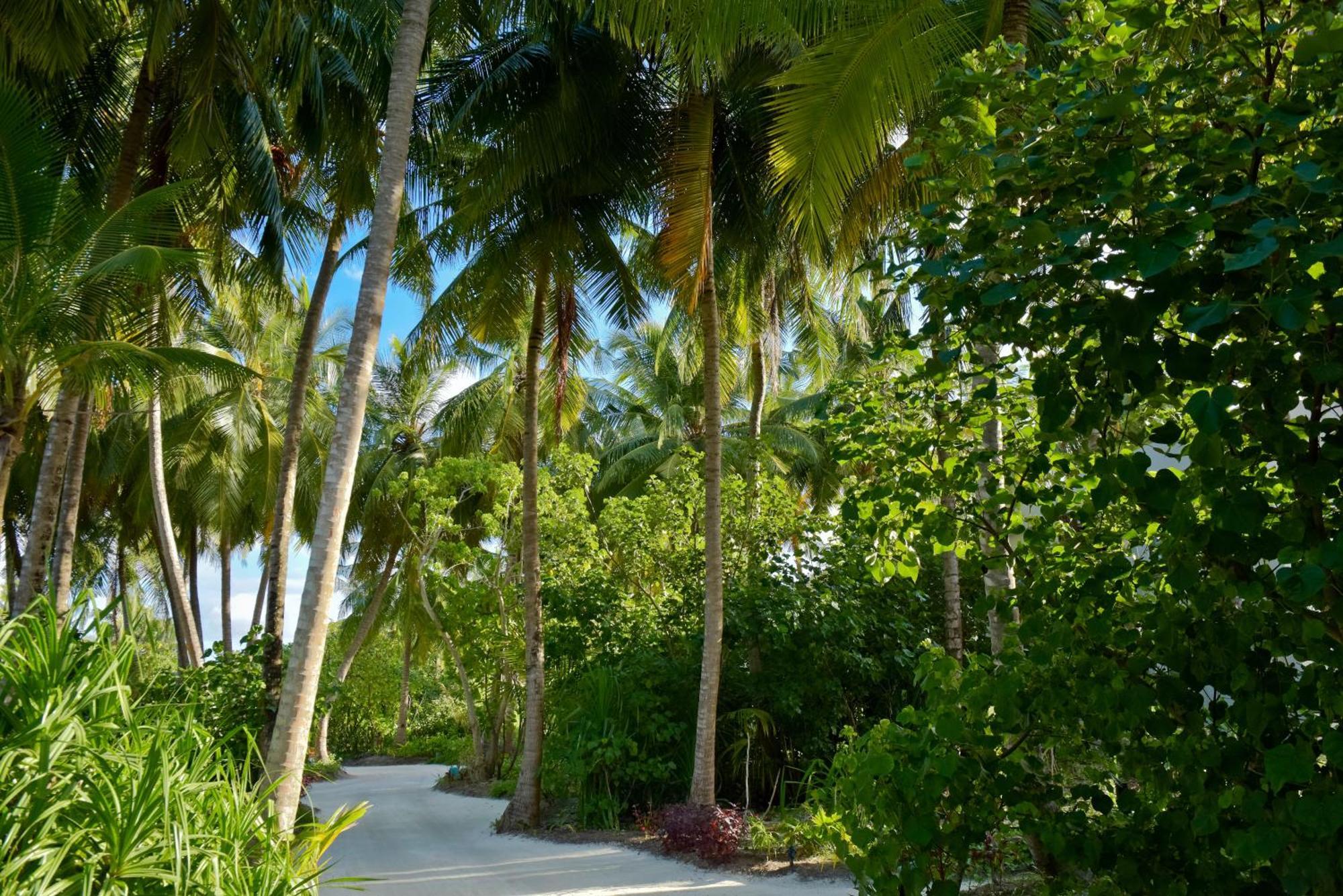 Ośrodek wypoczynkowy Kandima Maldives Kudahuvadhoo