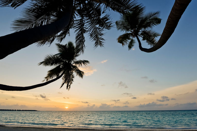 Kandima Maldives Ośrodek wypoczynkowy